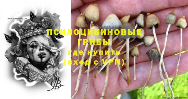 марки nbome Вуктыл