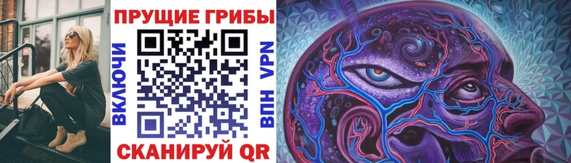 Галлюциногенные грибы MAGIC MUSHROOMS  купить наркоту  Тихвин 